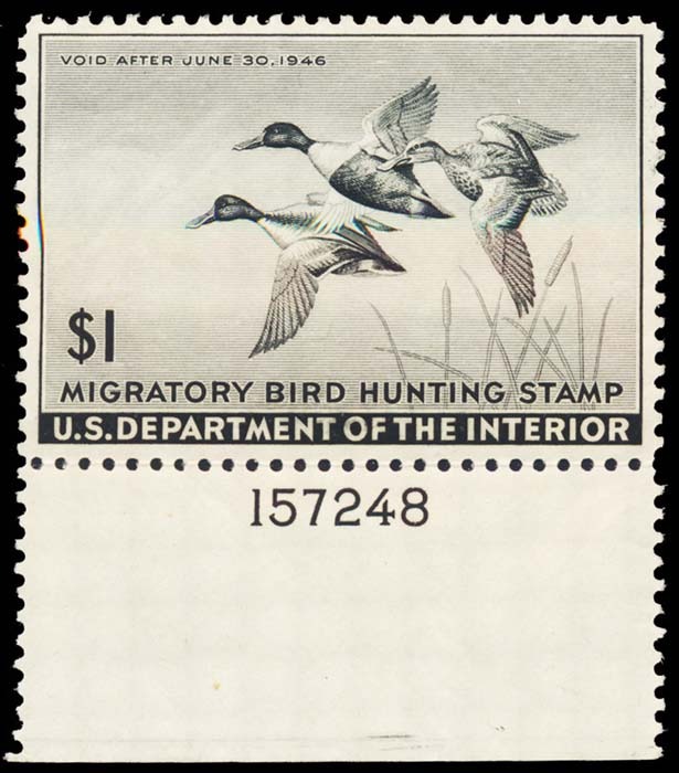 Lot 100580 - RW12
