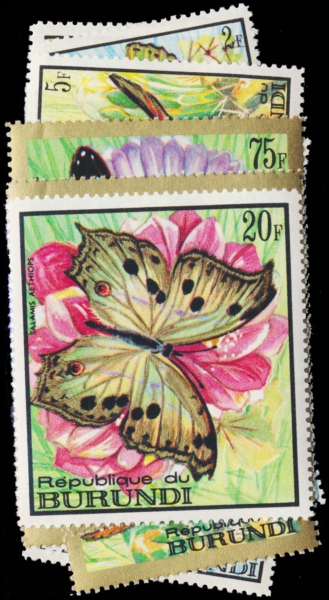 Lot 112612 - 240-55