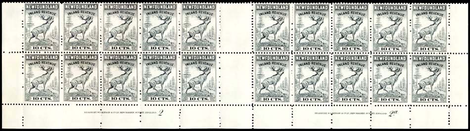 Lot 114228 - NFR37a