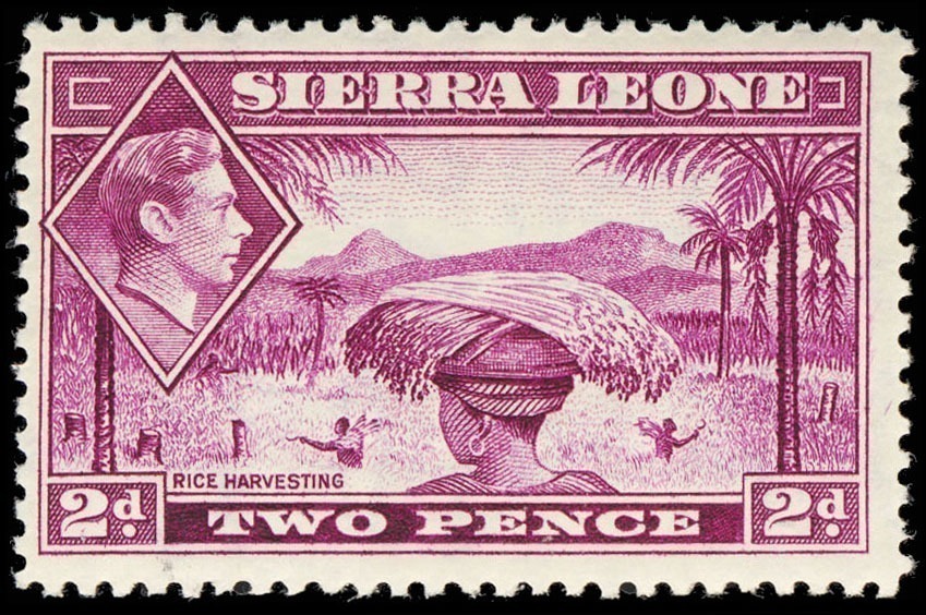 Lot 116768 - 176