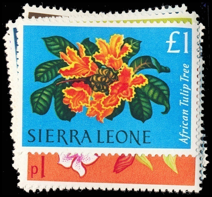 Lot 116773 - 227-39