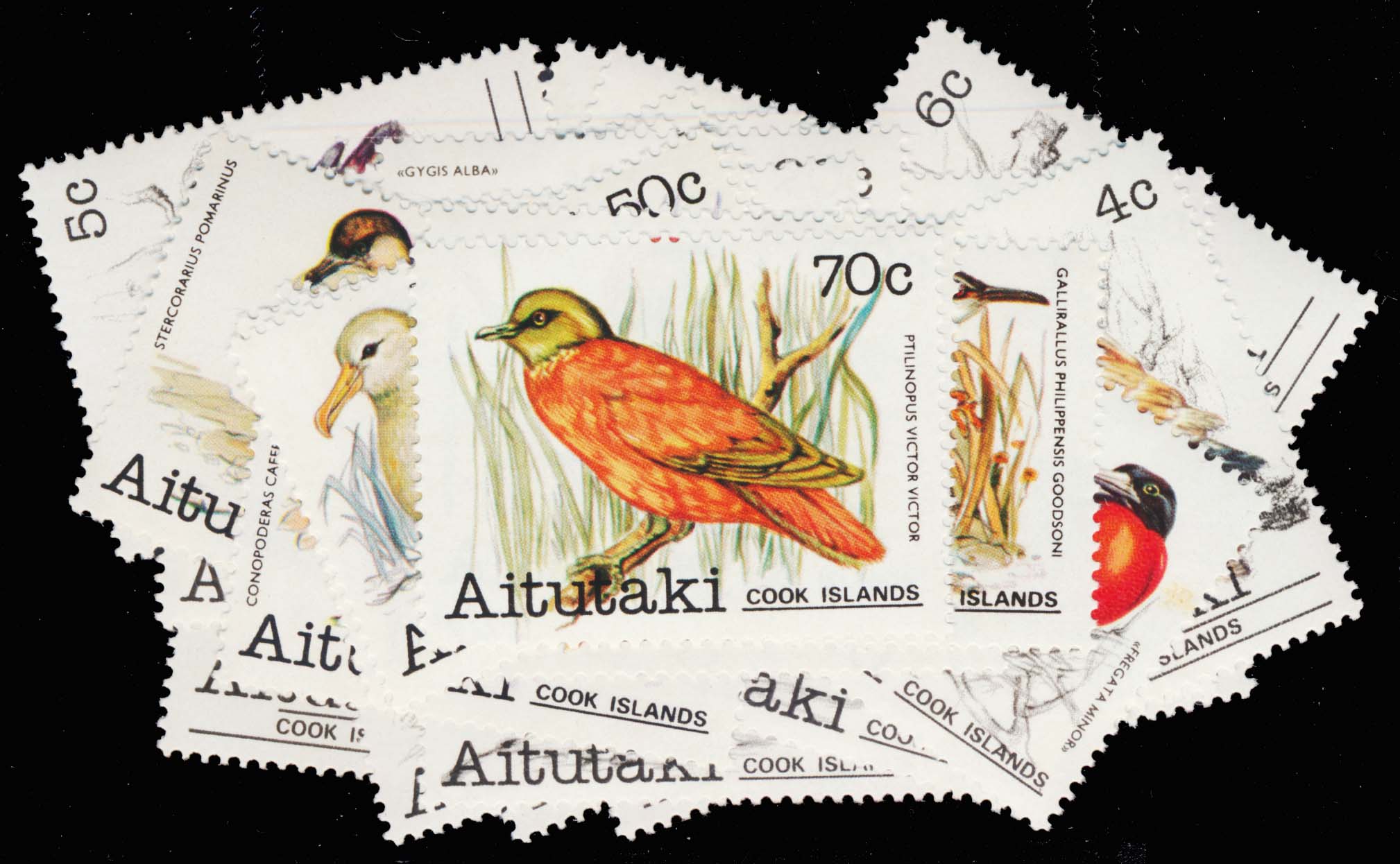 Lot 118253 - 215-46