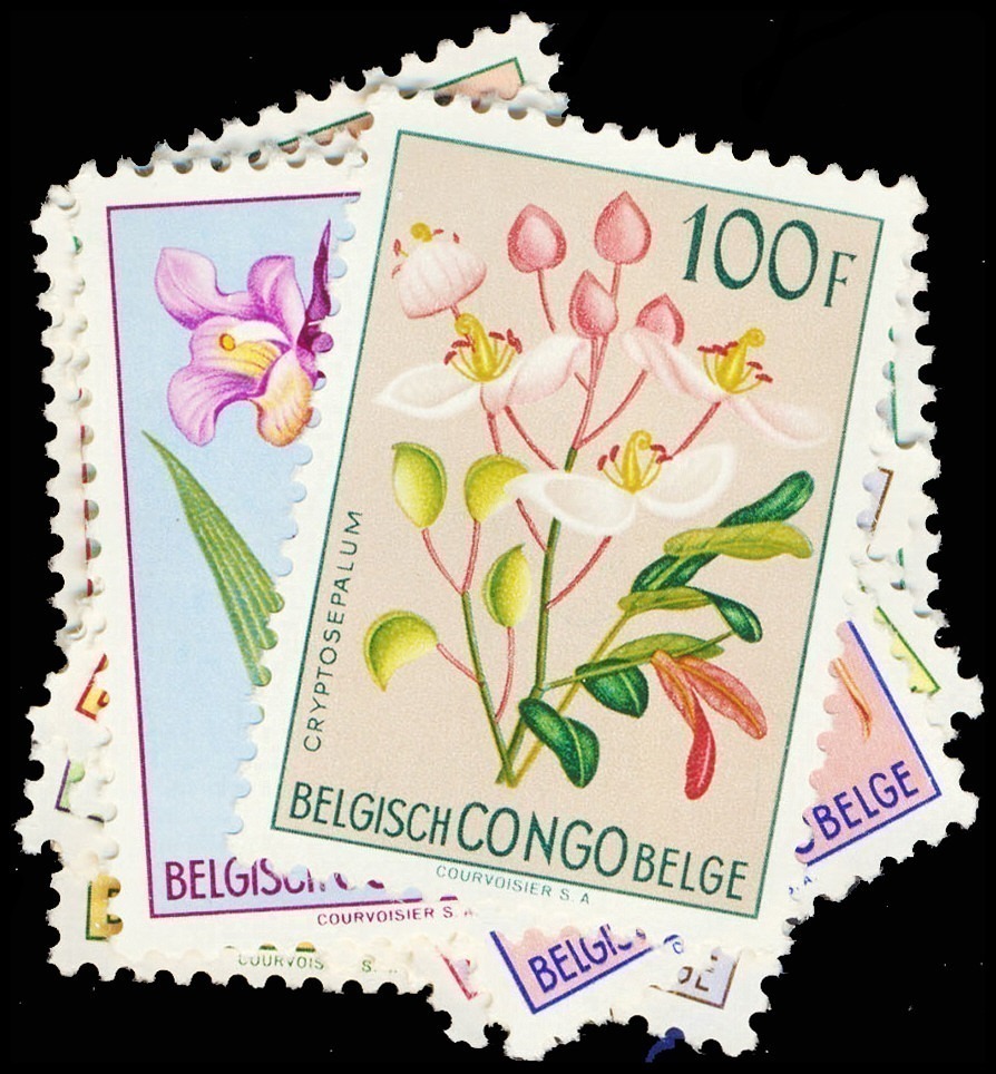 Lot 118260 - 263-84