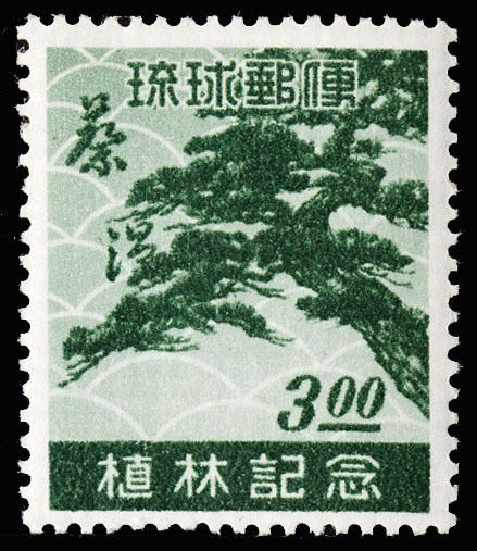 Lot 157341 - 15