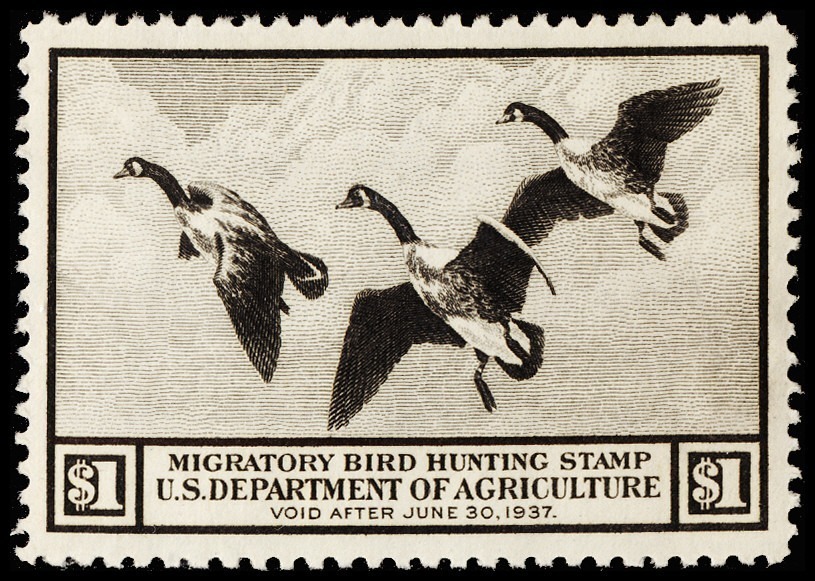 Lot 162011 - RW3