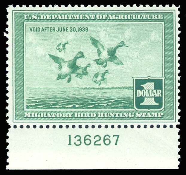 Lot 43778 - RW4