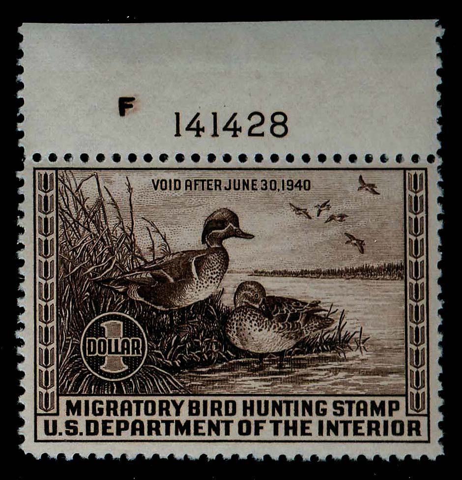 Lot 43780 - RW6