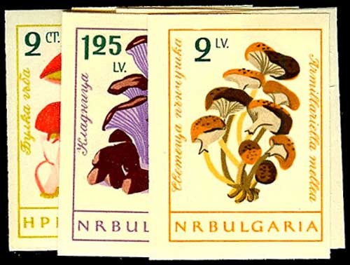 Lot 50339 - 1183-90(var)