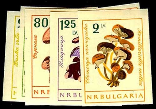 Lot 50340 - 1183-90(var)