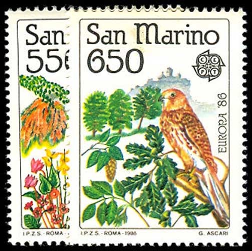 Lot 50883 - 1107-08