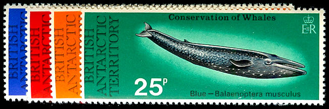 Lot 51967 - 64-67