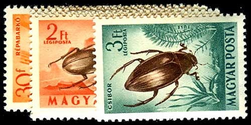 Lot 54227 - C136-45