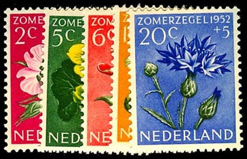 Lot 54539 - B238-42