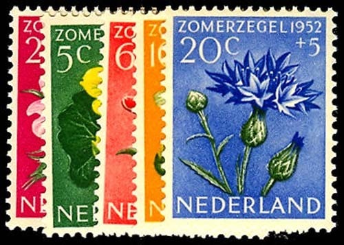 Lot 54540 - B238-42