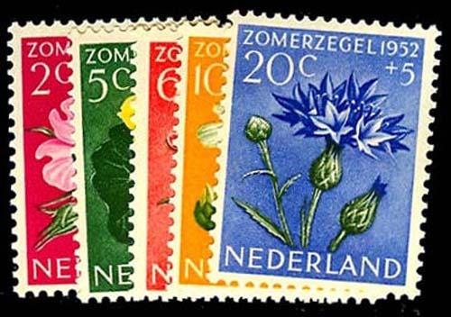 Lot 54541 - B238-42