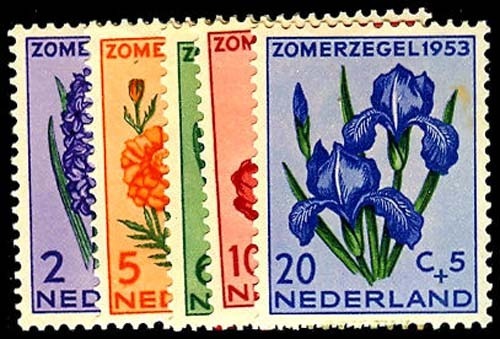 Lot 54543 - B240-53