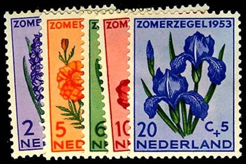 Lot 54544 - B240-53