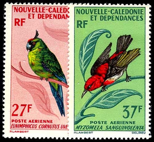 Lot 54956 - C48-49
