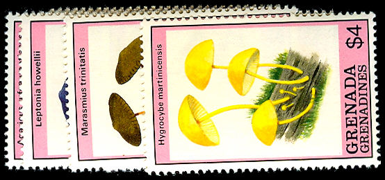 Lot 55120 - 1078-85
