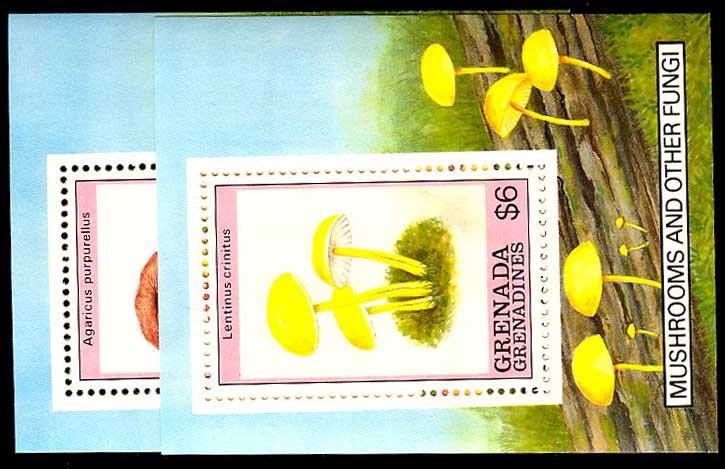 Lot 55121 - 1086-87