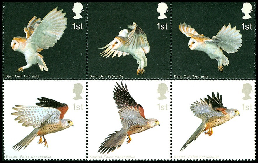 Lot 56580 - 2096a