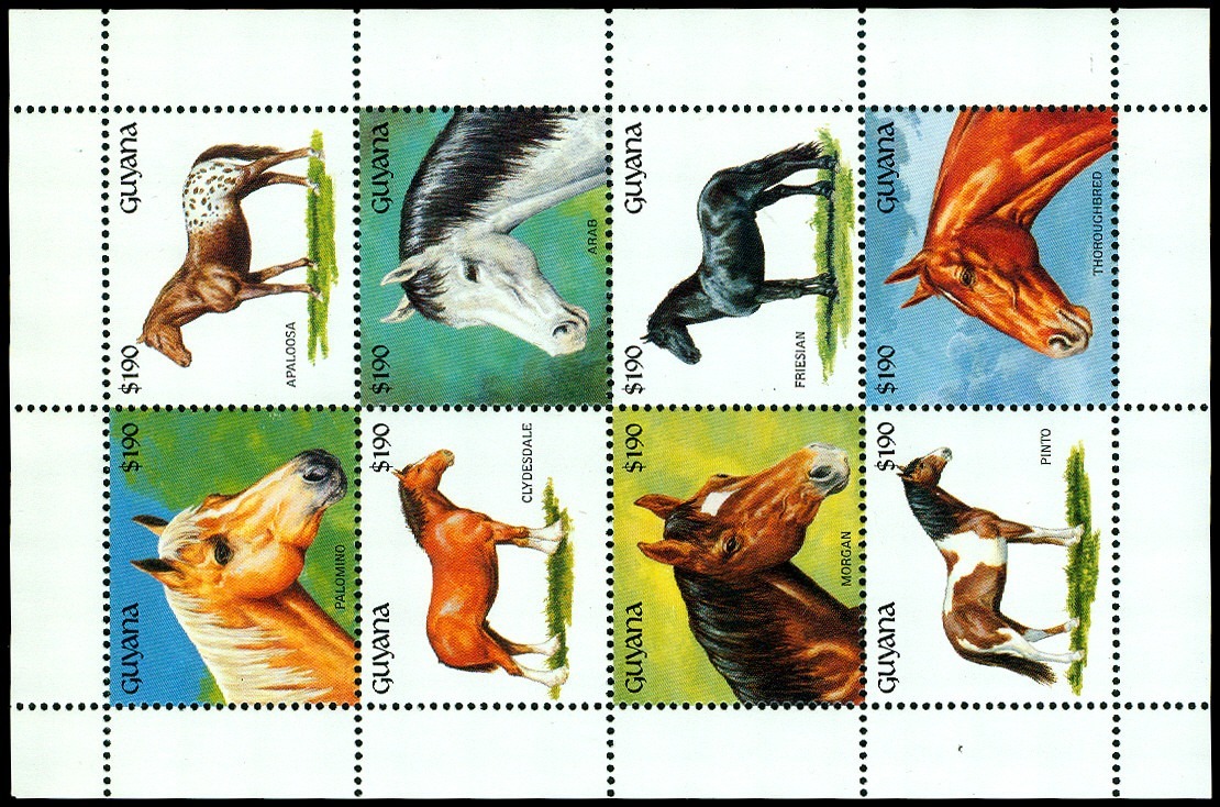 Lot 56629 - 2579