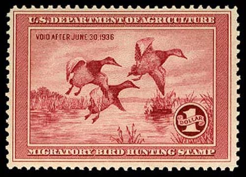 Lot 57880 - RW2