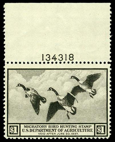 Lot 57881 - RW3