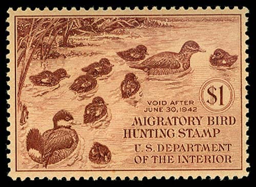 Lot 57883 - RW8
