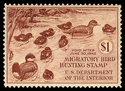 Lot 57884 - RW8