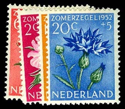 Lot 59490 - B238-42