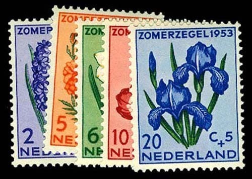 Lot 59492 - B249-53