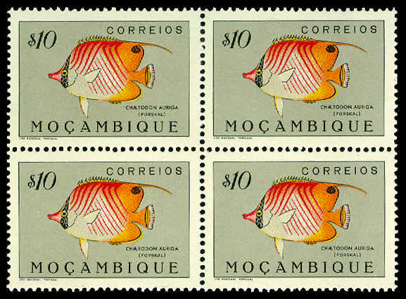 Lot 63953 - 351