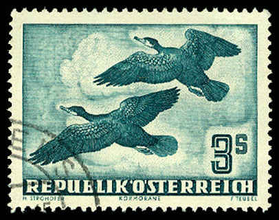 Lot 64481 - C57