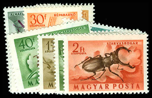Lot 65461 - C136-45