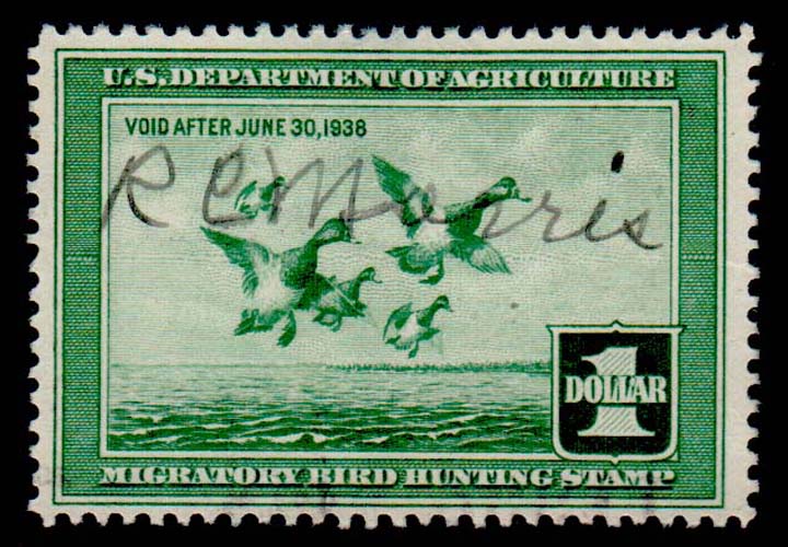 Lot 66456 - RW4