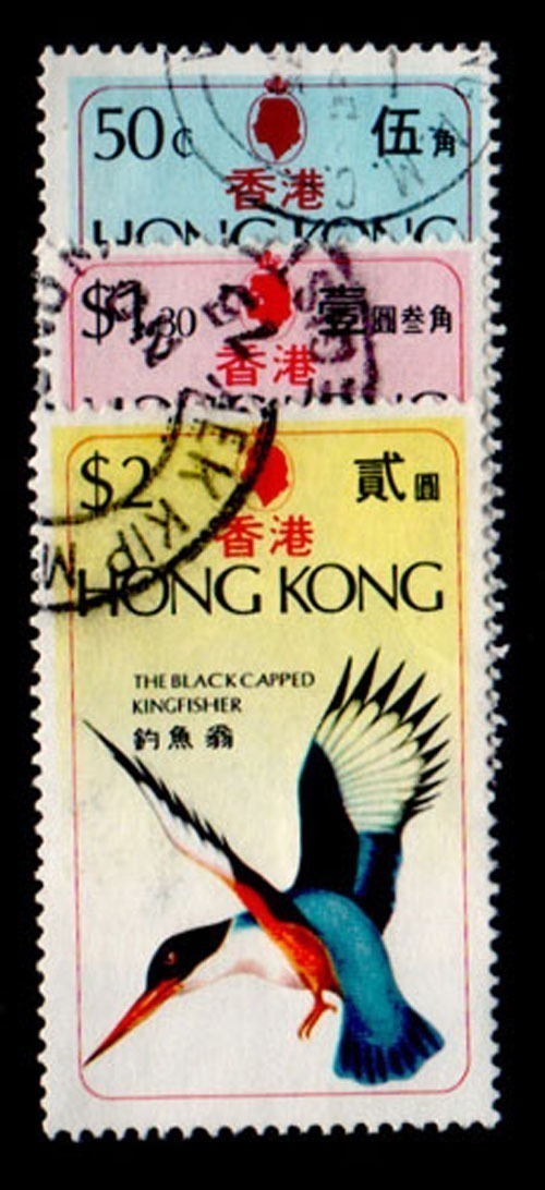 Lot 67587 - 309-11