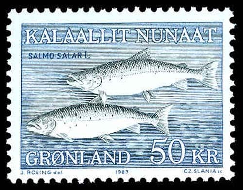 Lot 74071 - 141