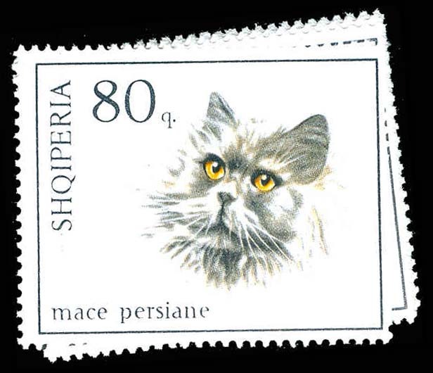 Lot 74084 - 965-71