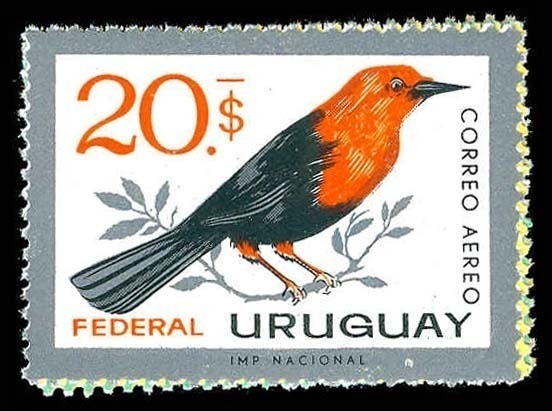 Lot 74221 - C258-63