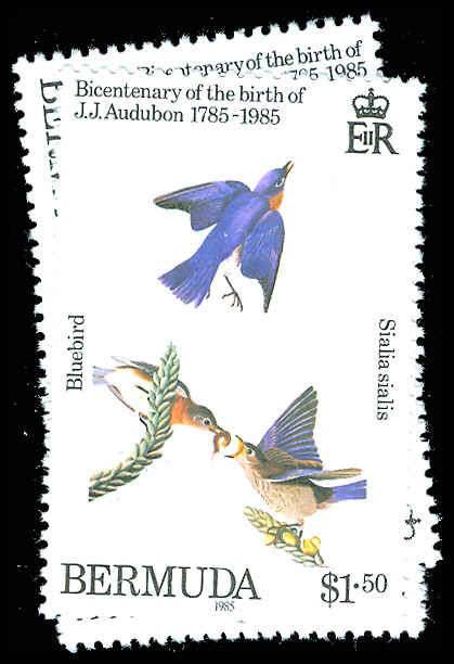 Lot 77365 - 465-68