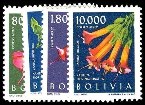 Lot 77382 - C237-40