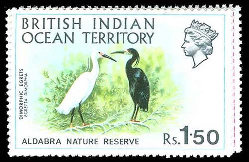 Lot 77384 - 39-42