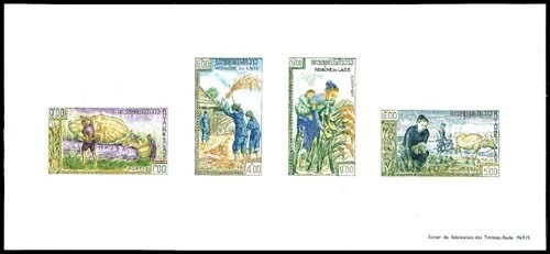 Lot 77840 - 99a(var)