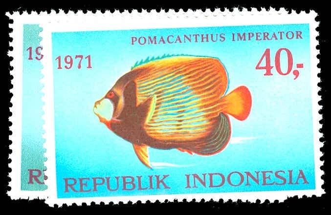 Lot 79195 - 810-12