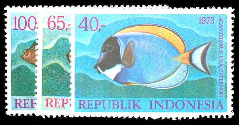 Lot 79198 - 859-61