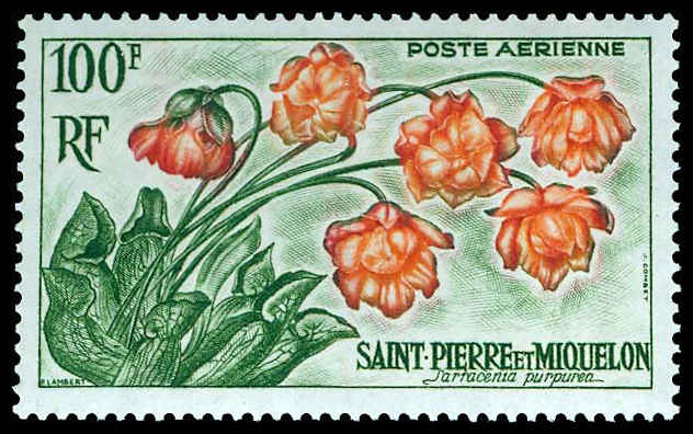 Lot 84128 - C24