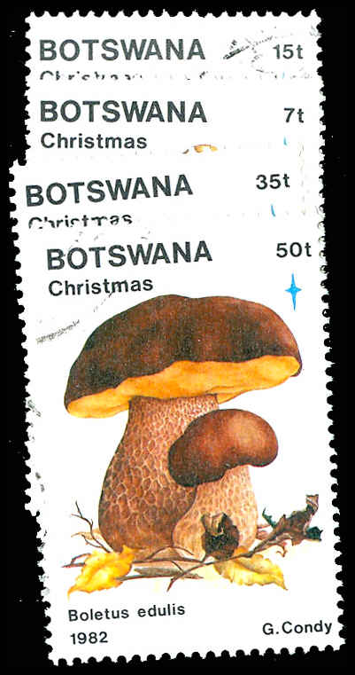 Lot 85620 - 321-24