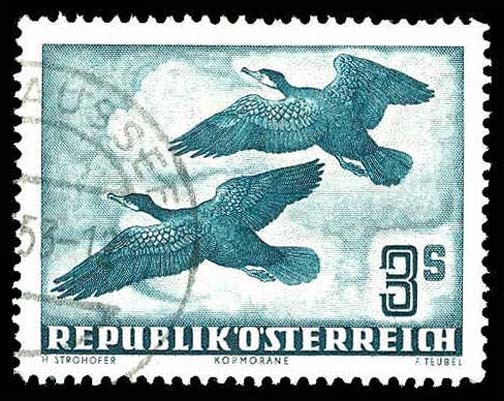 Lot 85686 - C57