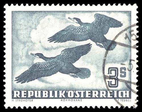 Lot 91910 - C57